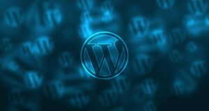 Conseil - CMS simple comme WordPress